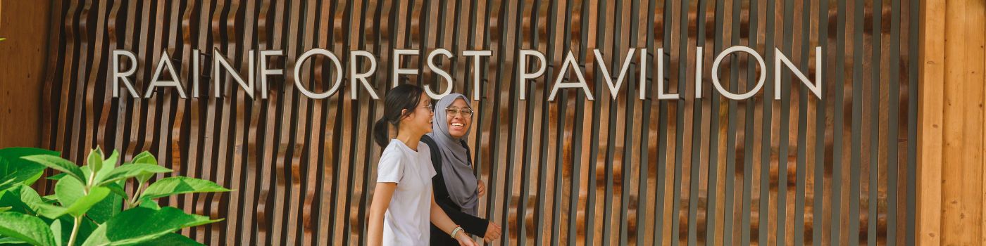 Rainforest Pavilion